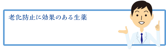 老化防止に効果のある生薬