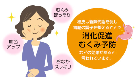 桂皮は新陳代謝を促し、胃腸の調子を整えることで消化促進・むくみ予防などの効果があると言われています。
