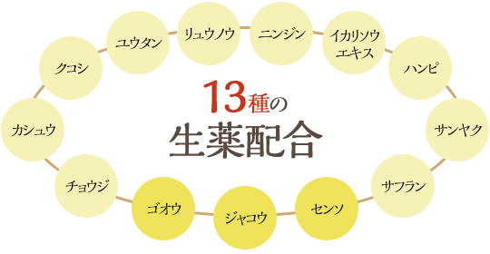 13種類の生薬