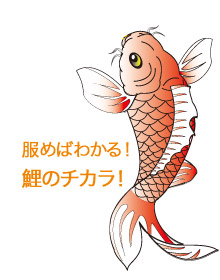 鯉胆を配合した日本で唯一の胃腸薬