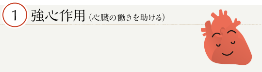 強心作用（心臓の働きを助ける）