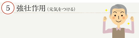 強壮作用（元気をつける）