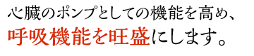 心臓のポンプとしての機能を高め、呼吸機能を旺盛にします。